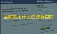 蓝鲸是用什么过滤食物的